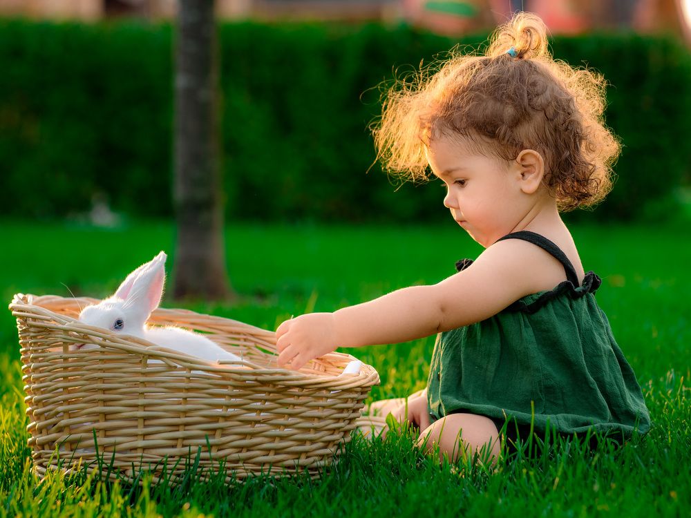 Photograph by Валерия Кононенко