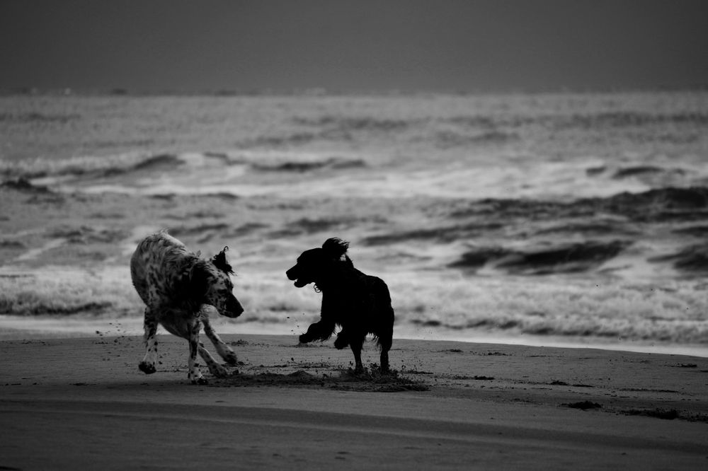 Photograph by Егор Колягин