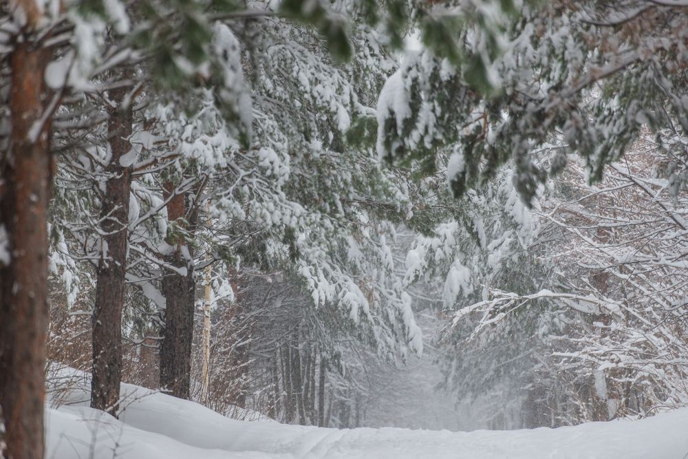 Photograph by Давыдова Гульгена