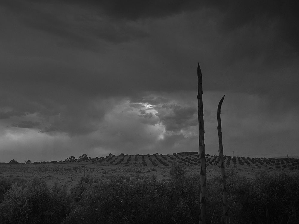 Photograph by Moulay Ahmed KASSI