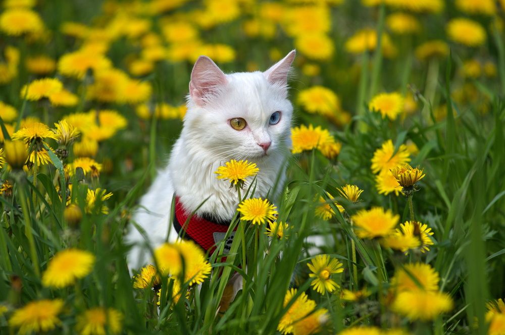 Photograph by Алексей Шехонин