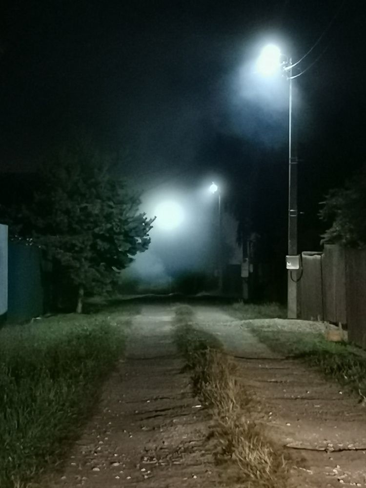 Фотография автора Елена Кваша