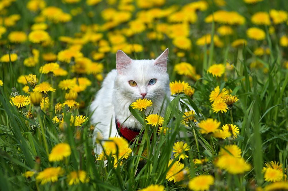 Photograph by Алексей Шехонин