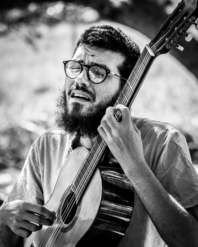 The lonely troubadour