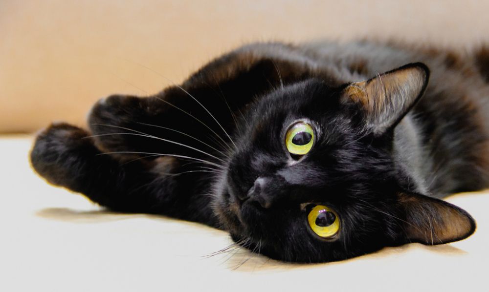 Photograph by Дмитрий Гончаров