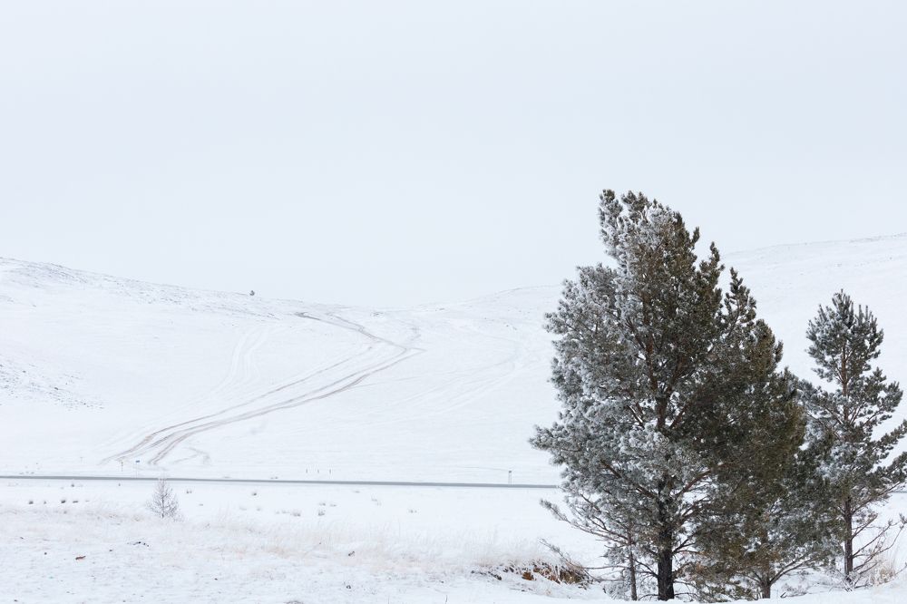 Photograph by Корчагина Оксана