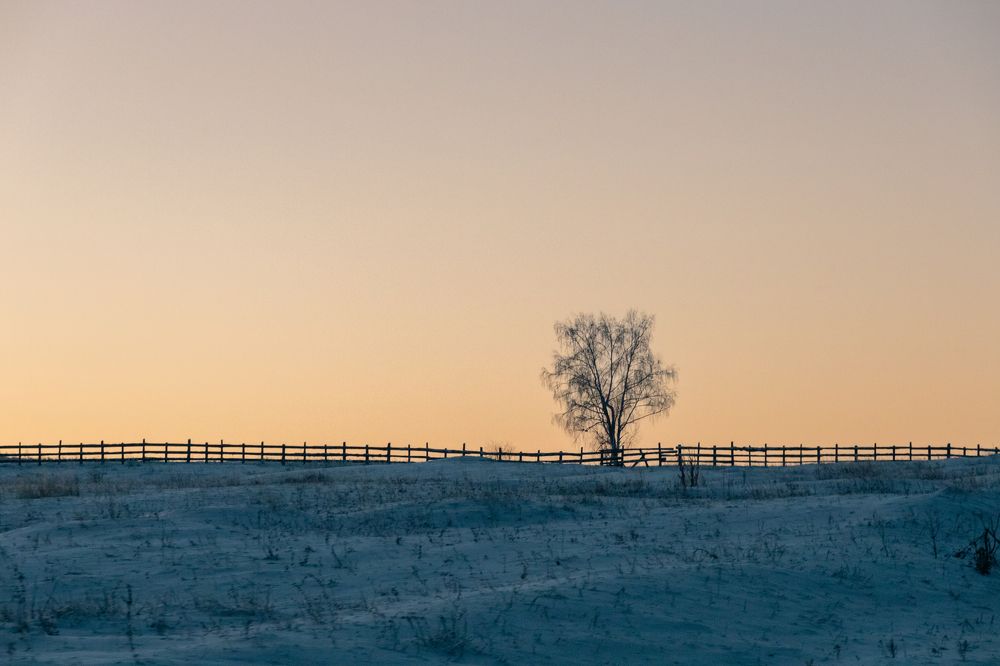 Photograph by Корчагина Оксана