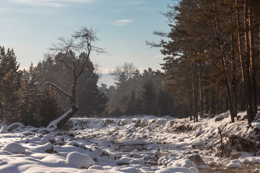 Photograph by Корчагина Оксана