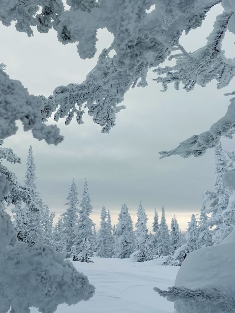 Photograph by Светлана Шиляева