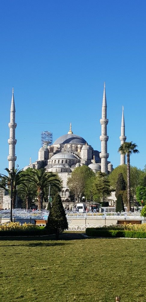 Фотография автора Ольга Мусина