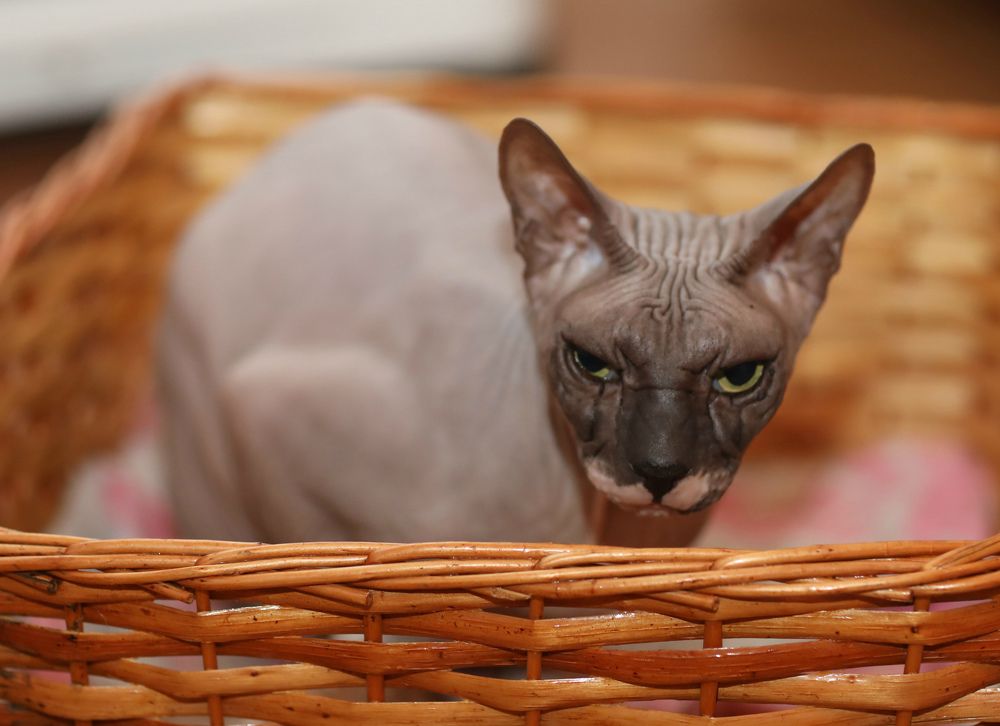 Антоха дружище!