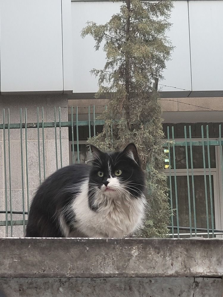 Photograph by Rahele Almassi