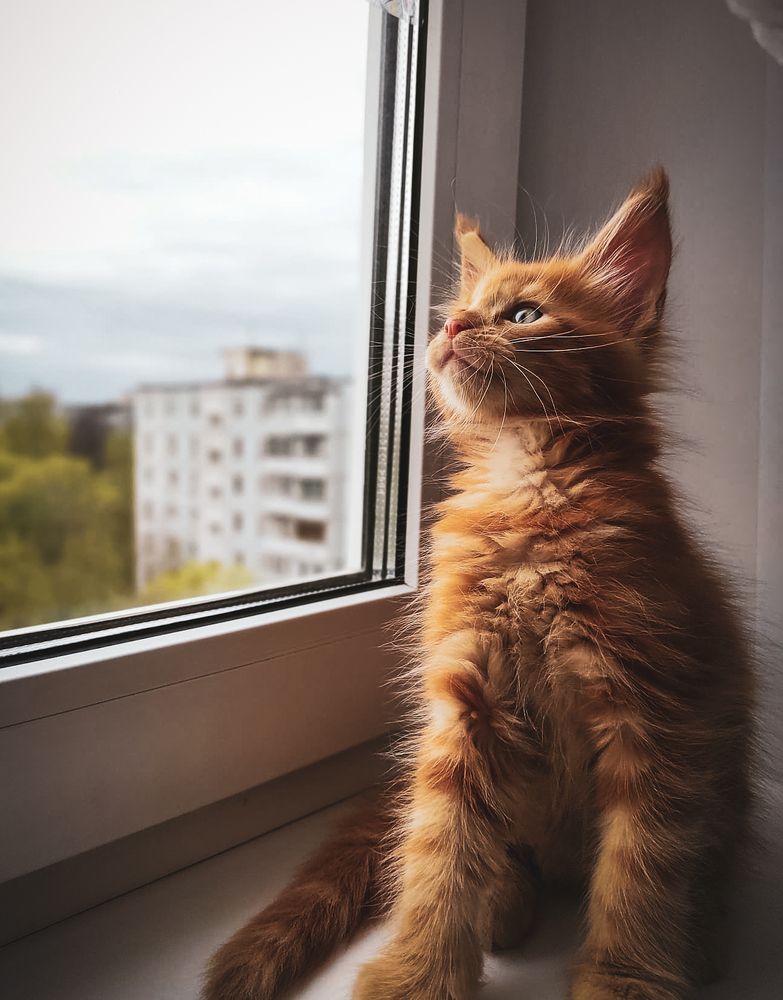 Photograph by Анна Семусева