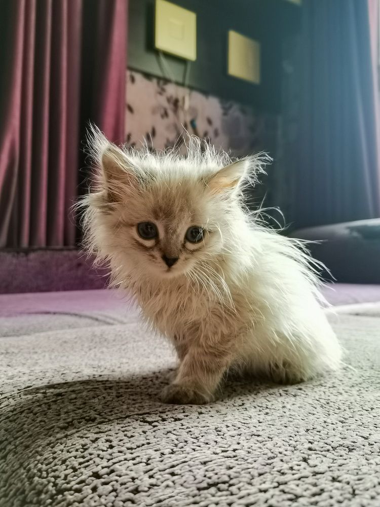 Photograph by Алёна Красова