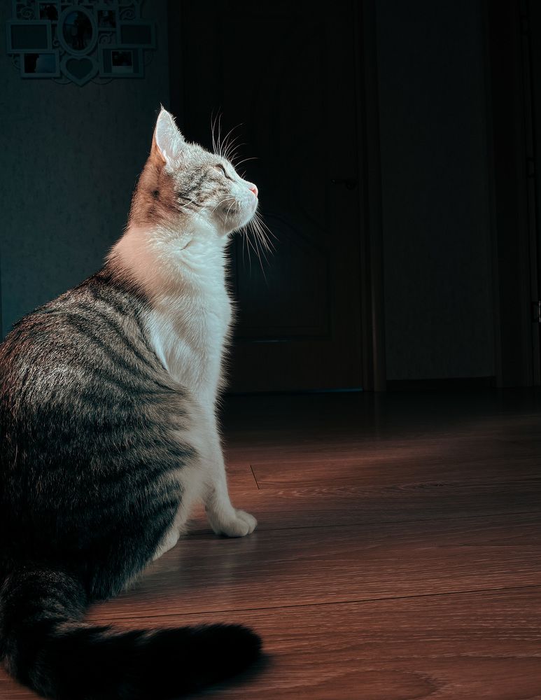 Photograph by Оксана Пидоря