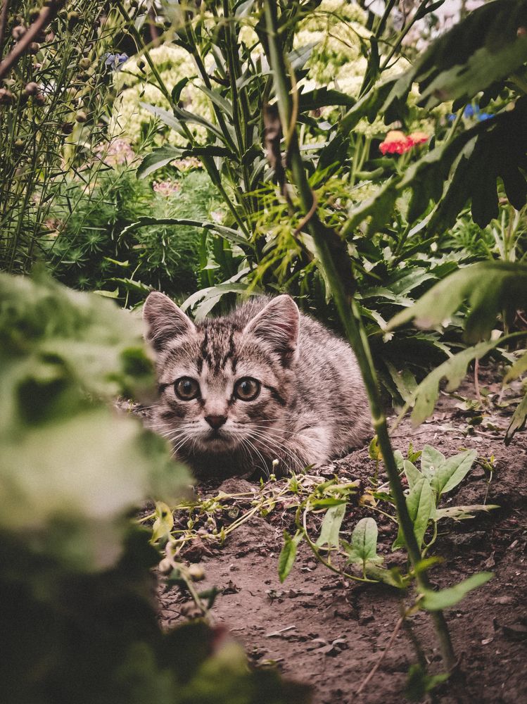 Photograph by Алёна Красова