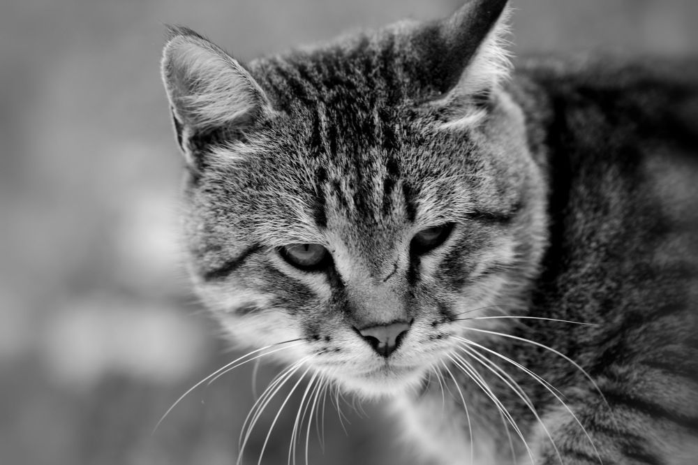 Photograph by Иван Зотеев