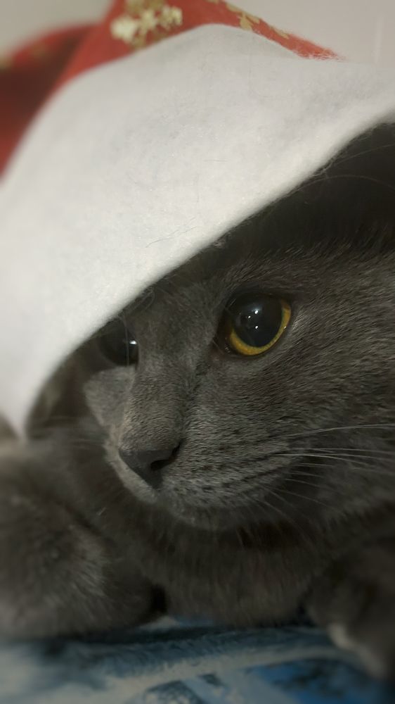 Photograph by Оксана Маракушина