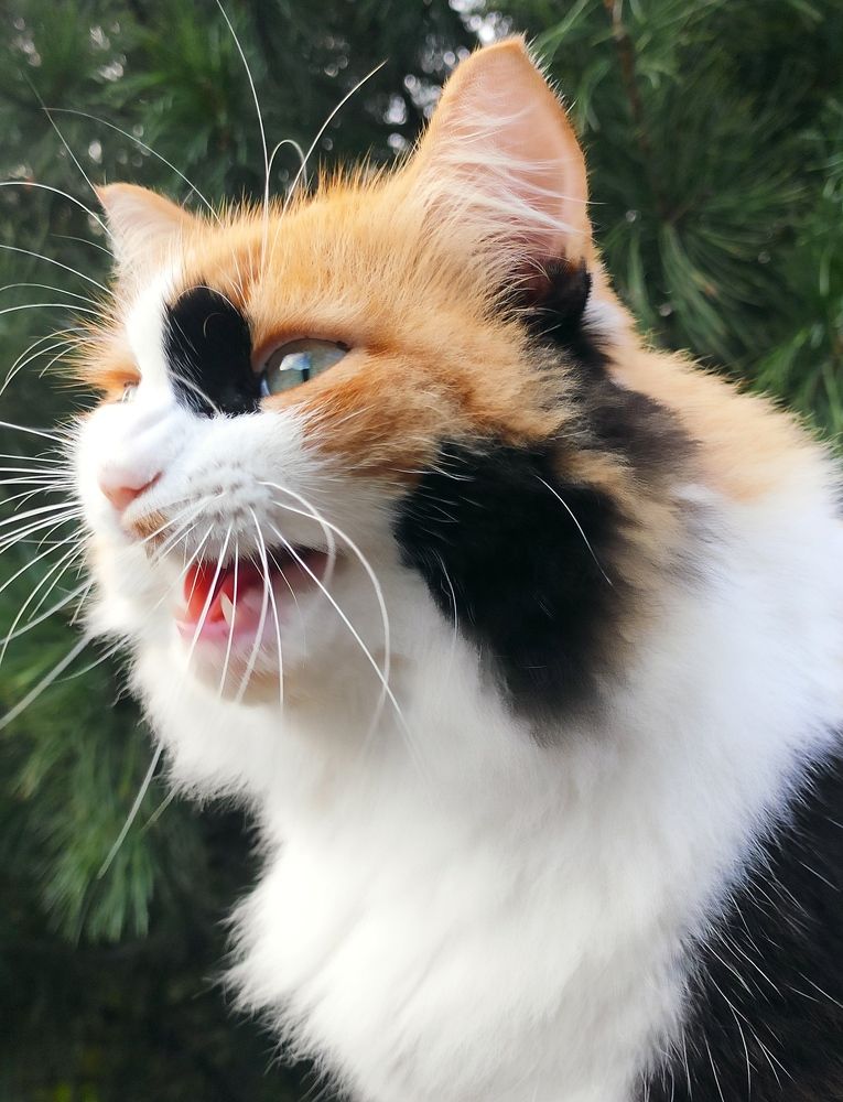 Photograph by Татьяна Гулакова