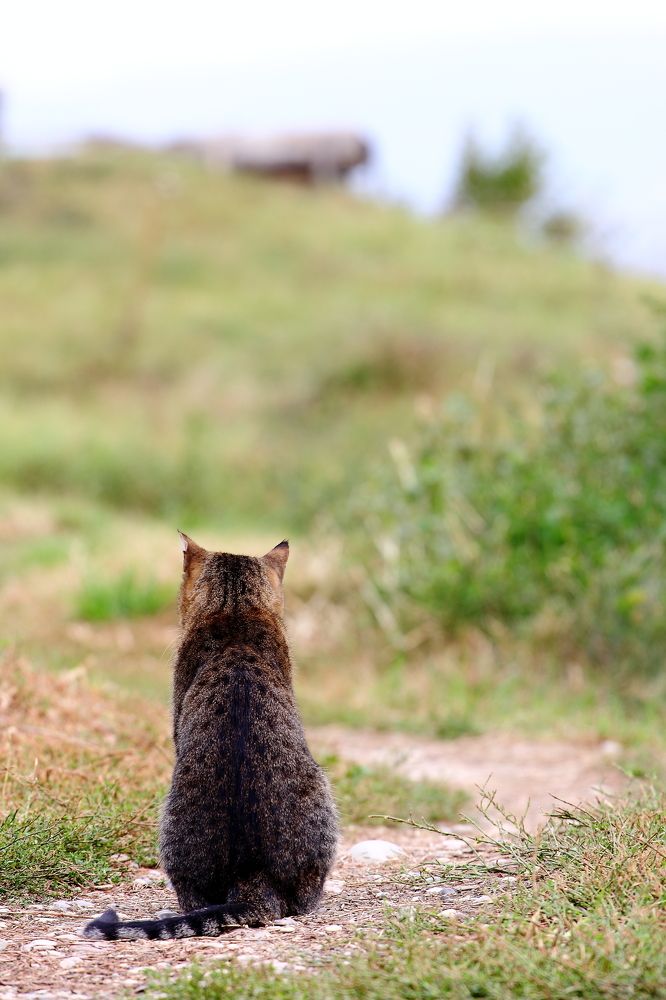 Photograph by Иван Зотеев