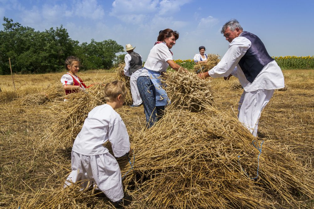 Photograph by Maja Tomić