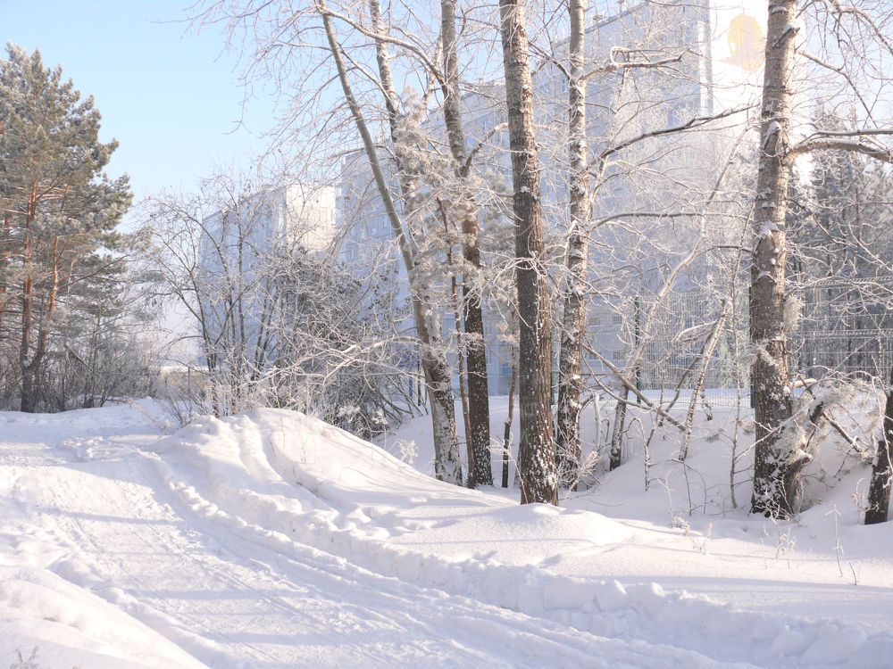 Зимний день