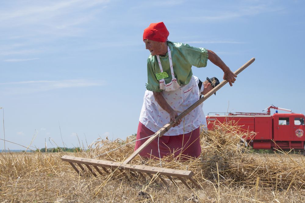 Photograph by Maja Tomić