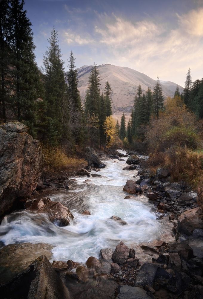 Осеннее утро