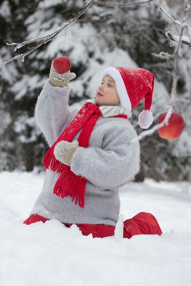 Гном и яблоки