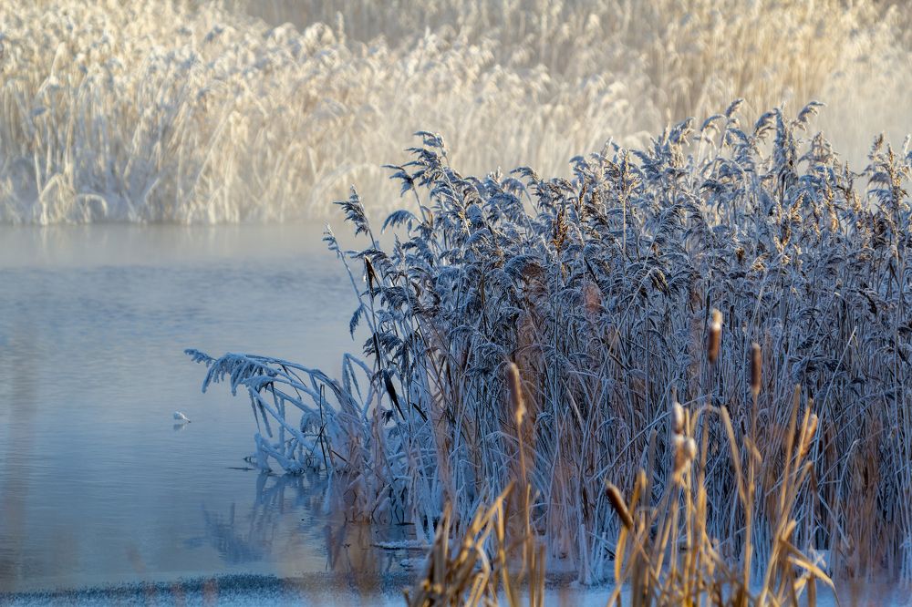 Photograph by Вячеслав Орос