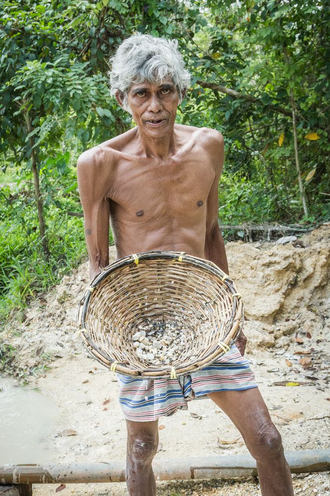Фотография автора Андрей Пожарский
