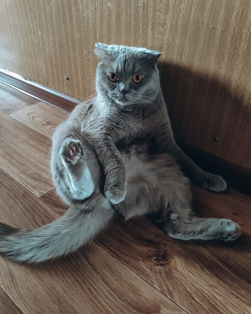 Photograph by Татьяна Радченко