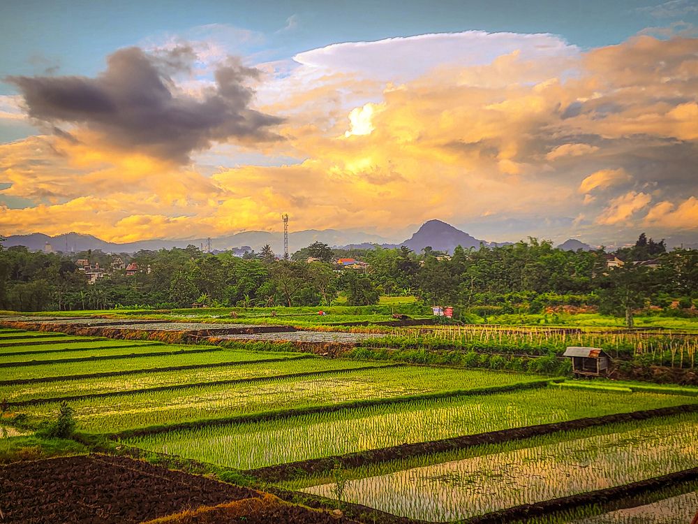 Photograph by Indonesia