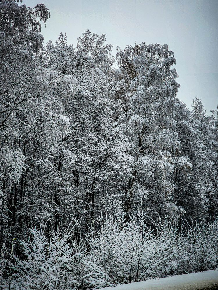 Photograph by Chic.chiquitita