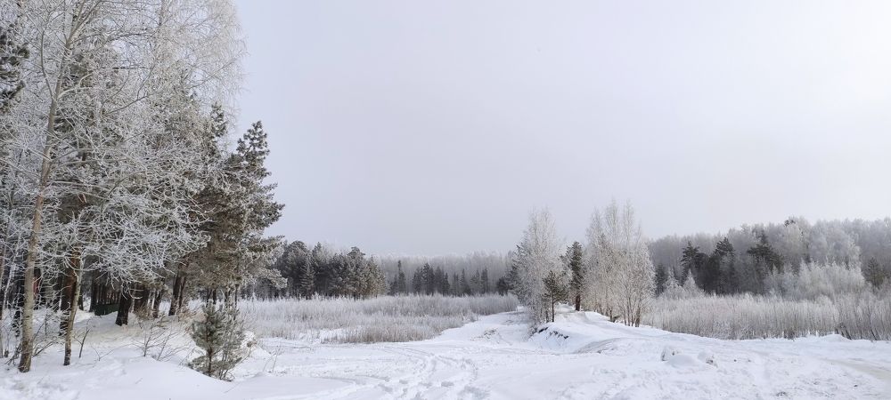 Photograph by Дмитрий Соколов