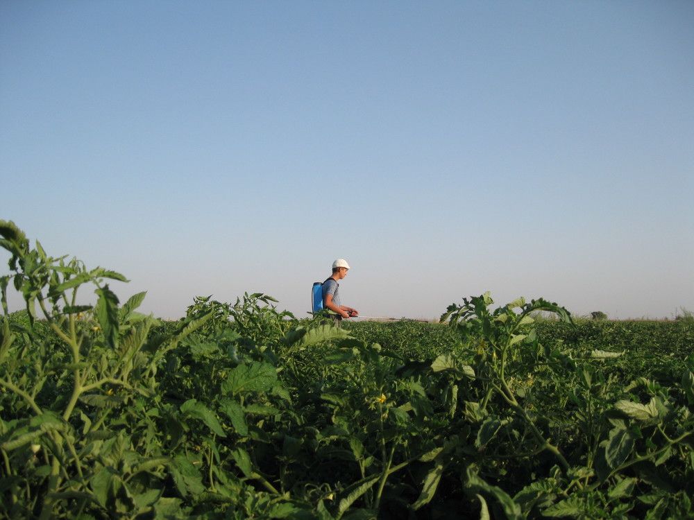 Photo #8668864