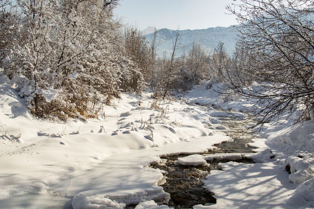 Photograph by Оксана Батракова