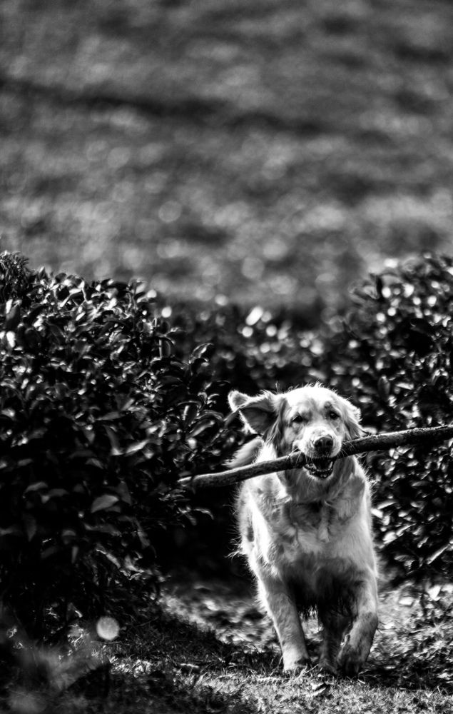 Photograph by Александр Вдовенко