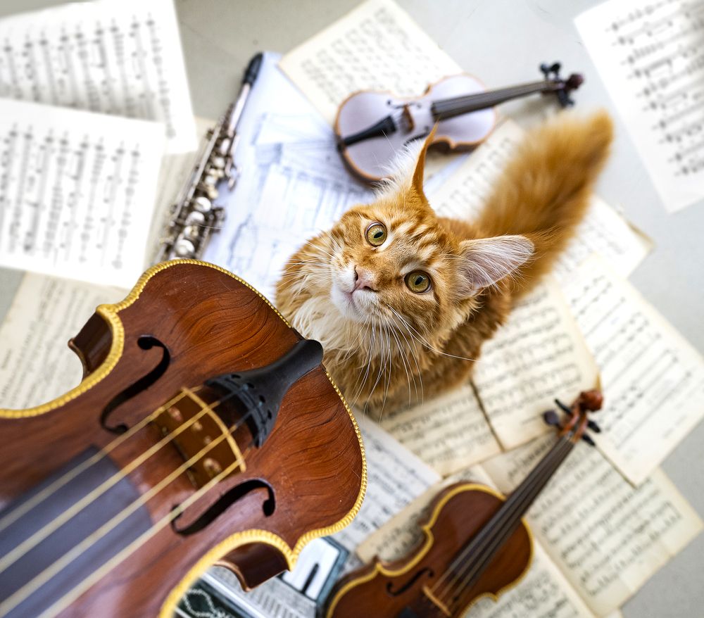 Photograph by Надежда