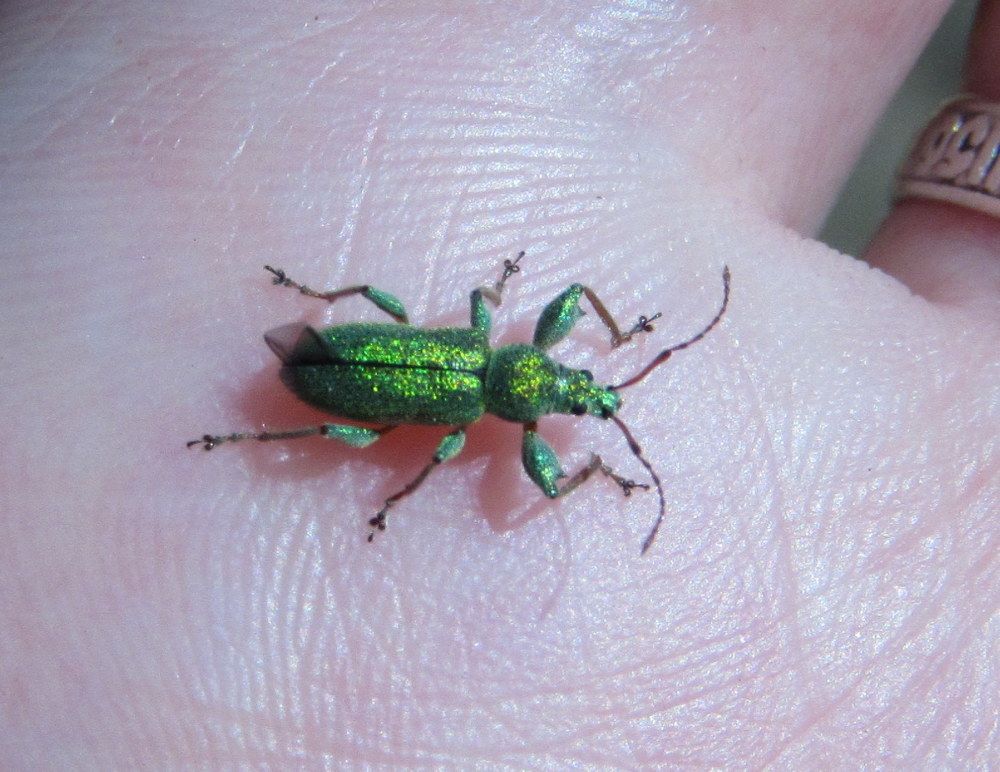 Photograph by Татьяна Смирнова