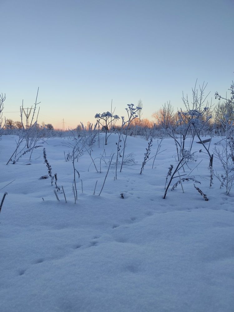 Фотография автора Светлана Смирнова