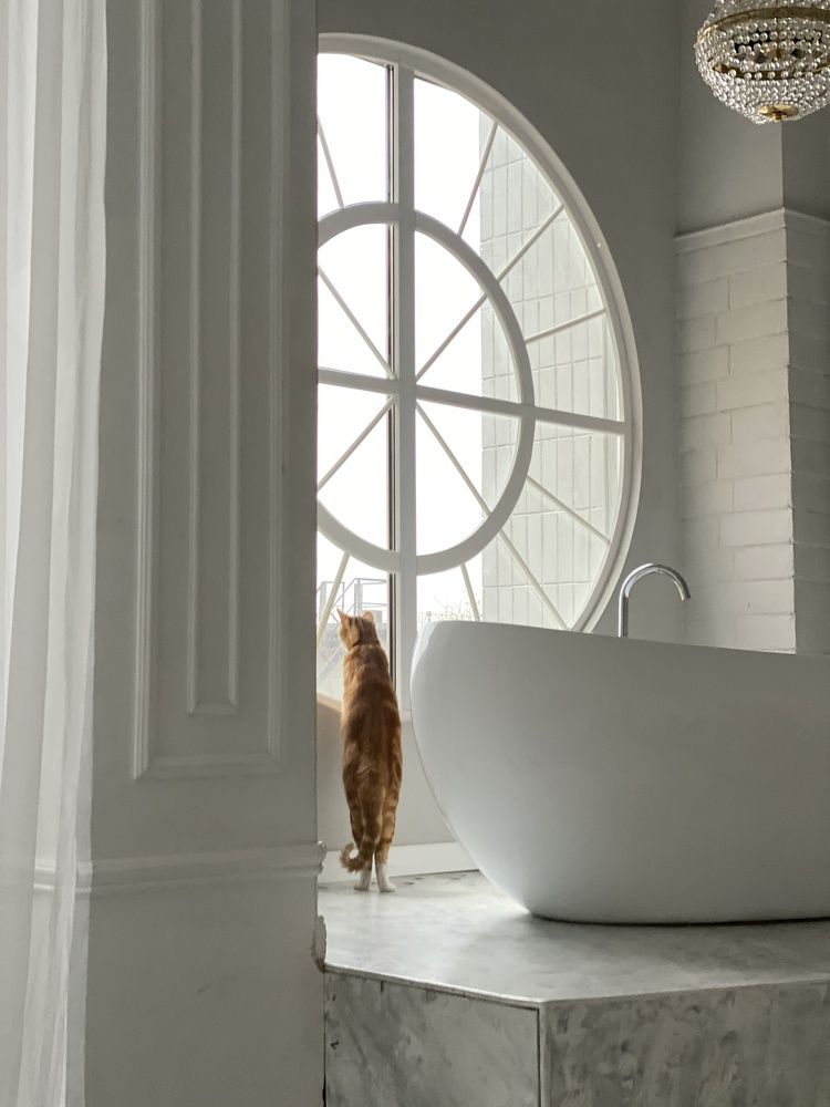 Фотография автора Екатерина Тельпук