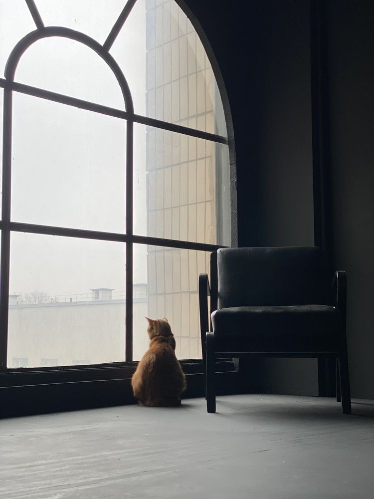 Фотография автора Екатерина Тельпук