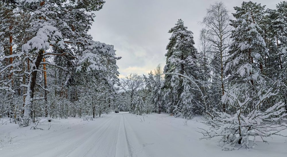 Photograph by Константин Панькин