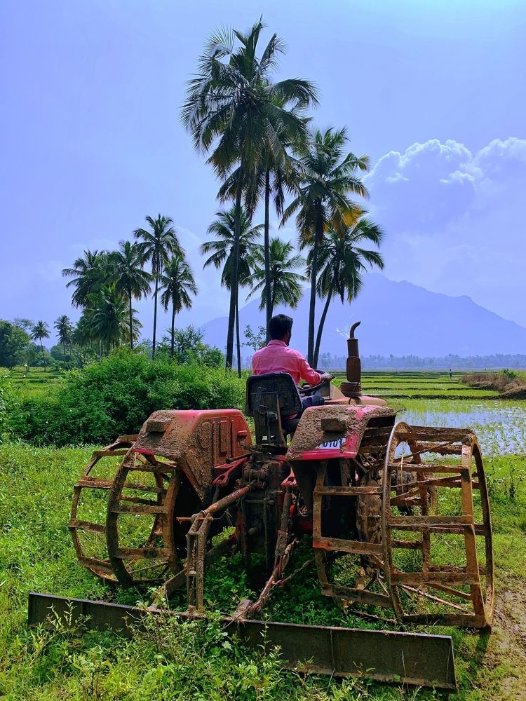 Photograph by ASWIN KUMAR S