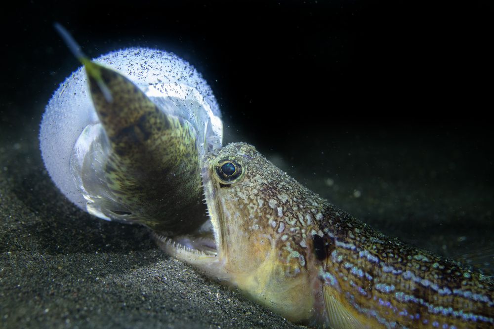 Photograph by Дериглазова Марина Владимировна