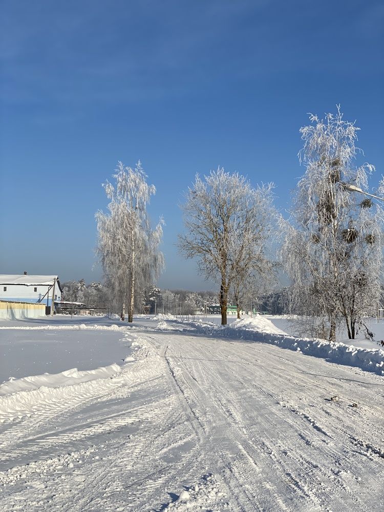 Фотография автора Екатерина Тельпук