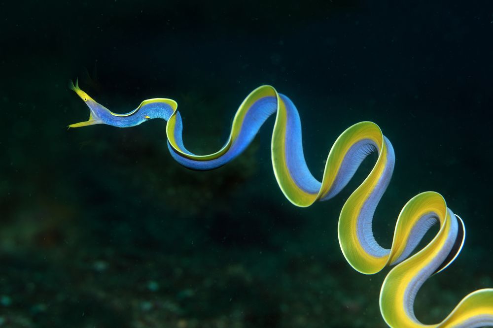 Photograph by Дериглазова Марина Владимировна