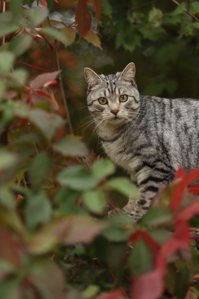 Photograph by Анастасия Басова
