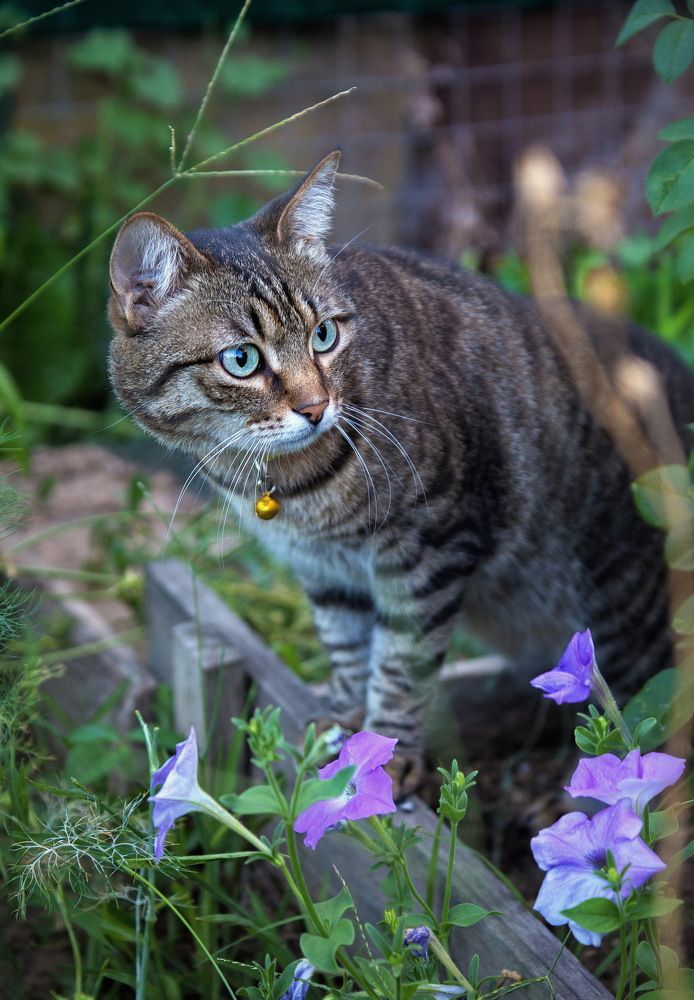 Photograph by Марина Ватанская